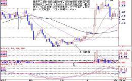 神奇的<em>135均线战法</em>-红杏出墙买入就涨