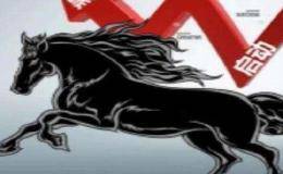 慧眼识“黑马”，畅游熊市中