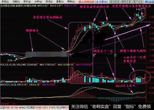 老鸭头解释庄家各种行为，跟着庄家有钱赚