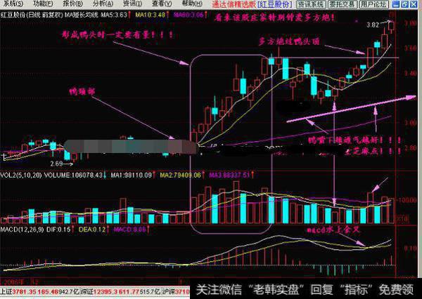 老鸭头解释庄家各种行为，跟着庄家有钱赚