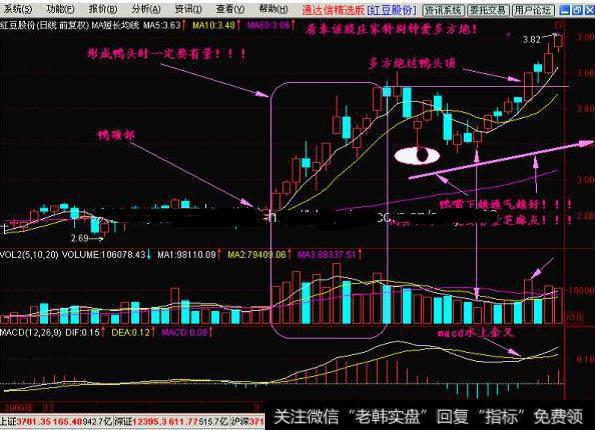 老鸭头解释庄家各种行为，跟着庄家有钱赚