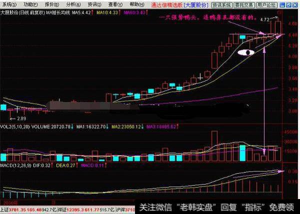老鸭头解释庄家各种行为，跟着庄家有钱赚