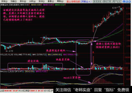 解密庄家震仓！