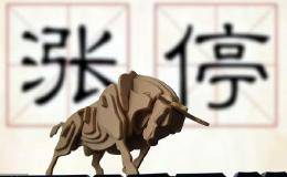 从事股票投资活动，将<em>股票投资的风险</em>降低或减少到最低的限度