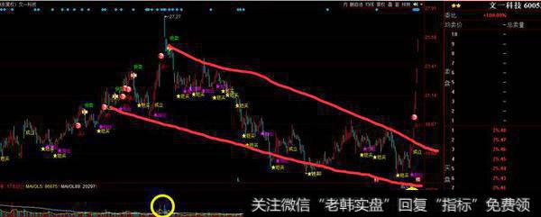 彪股的量能特点