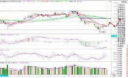双低开小阳线震荡 大盘下周继续反弹概率大