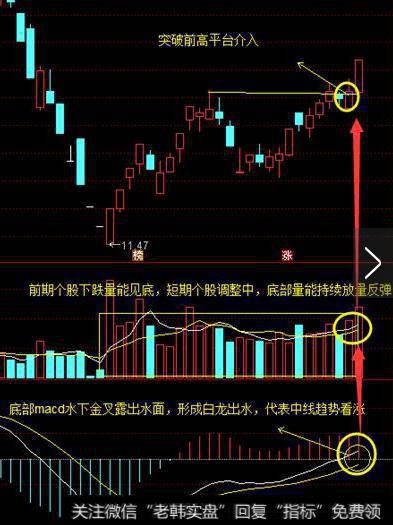 地量白龙出世