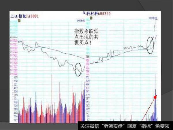 空手套白狼之股票T+0