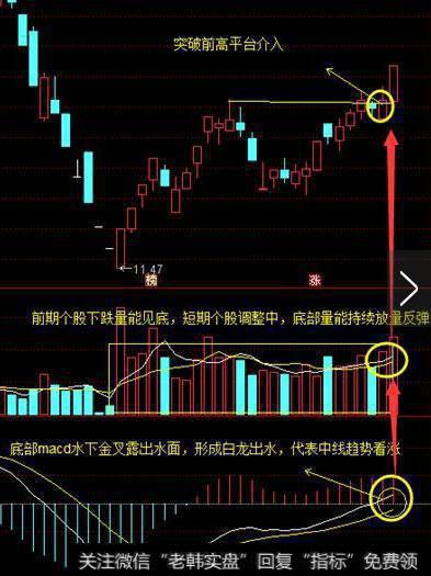 中国股市最赚钱的一种人：选股前看一眼成交量，不懂请不要炒股！