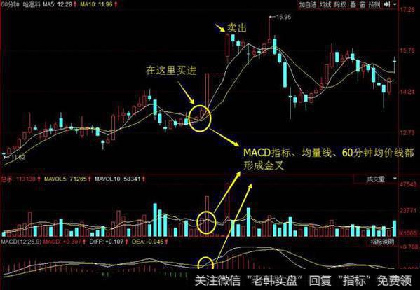 一位老股民从未亏损的秘诀：一旦出现“三金共振”信号，买入即涨