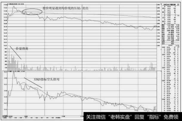 兴源过滤(900266)分时图