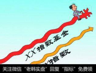 什么是指数基金