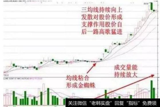 中国股市带血的经验：庄家拉升股价前的标志，学到极致就是绝活