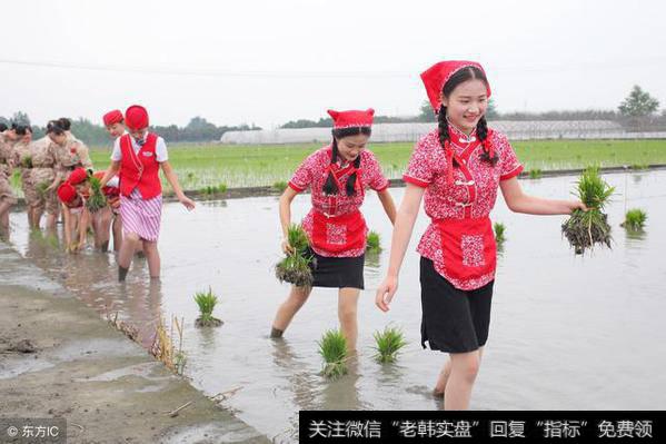 首发，<a href='/yzbxgh/290468.html'>中国股市</a>鲜为人知的秘密：把散户亏钱讲得淋漓尽致