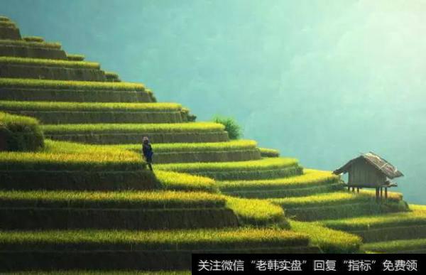 这三句巴菲特说过的话带给我千万收益