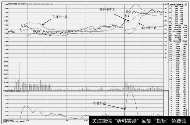 <a href='/pankouxuanji/255004.html'>华丽家族</a>(600503)<a href='/fenshitu/'>分时图</a>