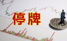 <em>股票入门基础知识</em>：股票特停是什么意思