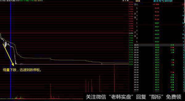 股价开盘迅速下跌至跌停板