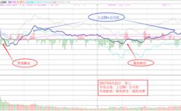 6月21日涨停板复盘—漂亮50迎来疯狂阶段