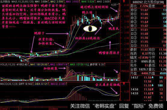 “老鸭头”股指
