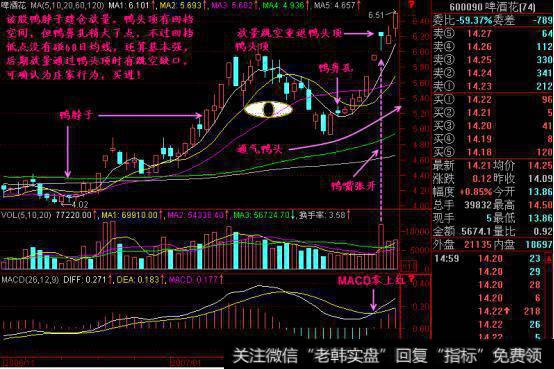 “老鸭头”形态鸭嘴张开