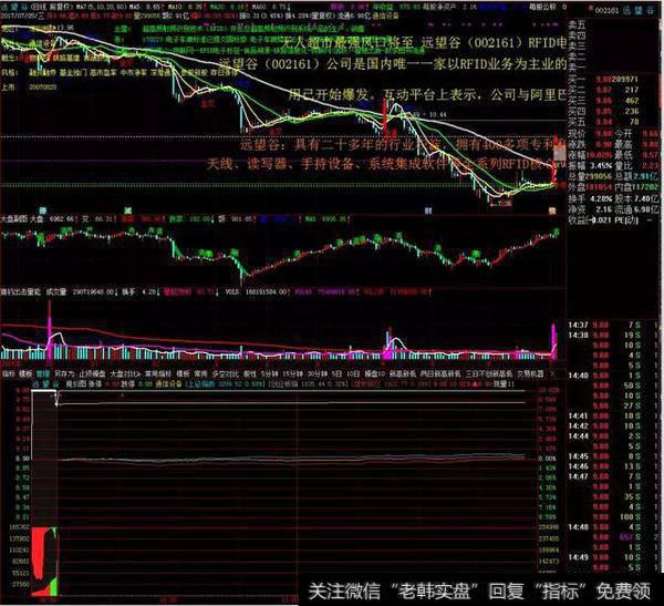 顶级游资集合竞价的秘密，炒股养家的唯一出路