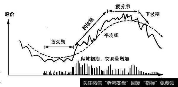 一条均线洞明股价运动周期