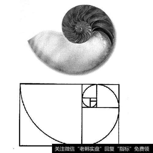 一分钟教你学会使用黄金分割线实战技巧，看懂<a href='/ggnews/291155.html'>趋势</a>不愁！