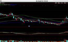 “大阳线+巨量假阳线”是典型的顶部形态