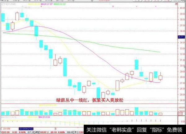 绿荫丛中一线红，抓紧买入莫放松