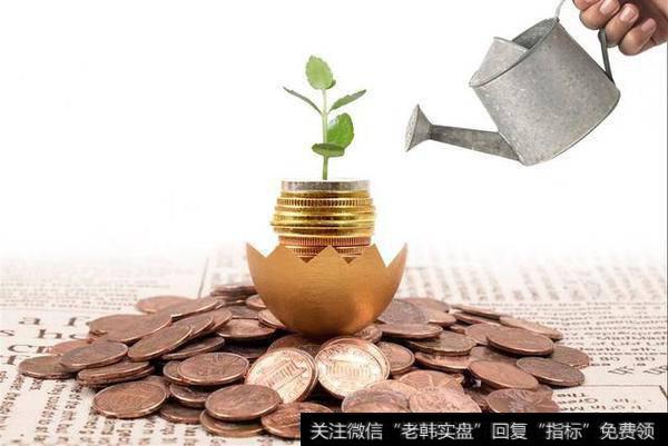 散户的炒股图