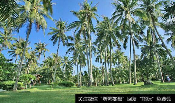 海南<a href='/ggnews/290567.html'>板块</a>今天逆势井喷