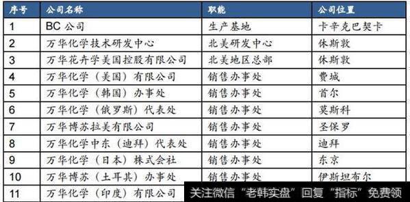 目前公司已在美国、巴西、匈牙利、日本、韩国、印度、土耳其、俄罗斯、迪拜共九个国家设立分子公司。