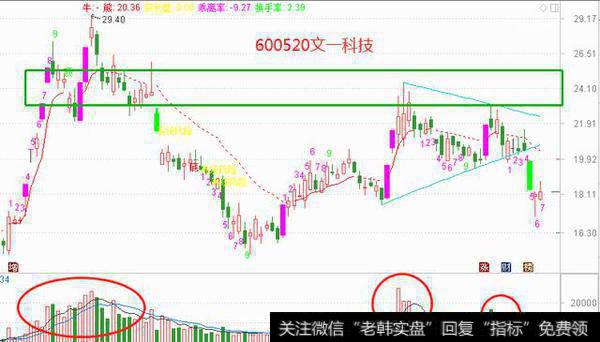 文一科技的股票图