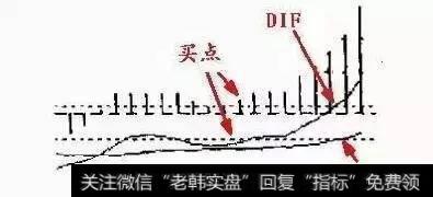 天鹅展翅底部形态