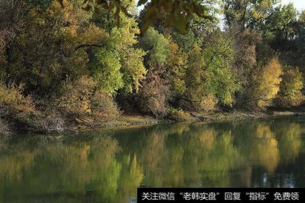 KDJ指标失灵的情况往往出现在极强的市场或者极弱的市场单边上升行情和单边下跌行情之中。