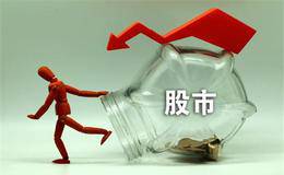 收入和利润的去伪存真：绿大地财务造假