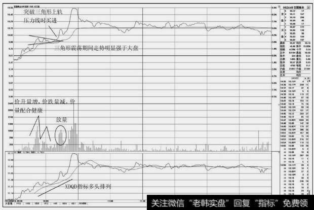 百圆裤业(002640)分时图