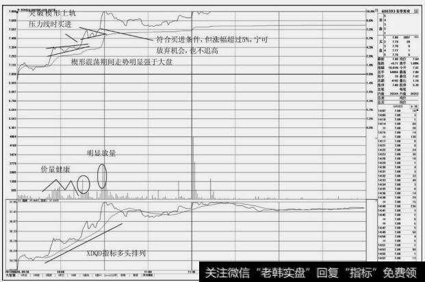 东华实业(600393)分时图
