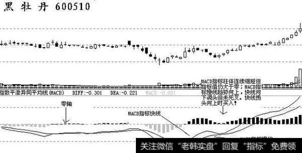 600510<a href='/cdtdjq/209270.html'>黑牡丹</a>2003年1月 末行情