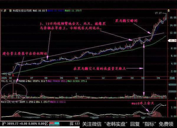 黑马草上飞