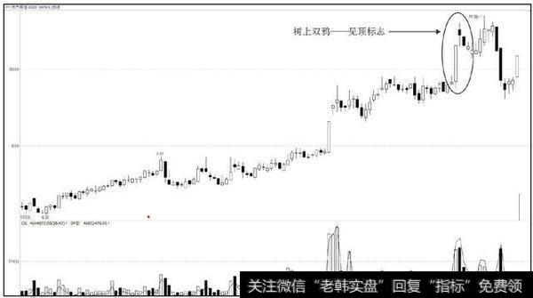 树上双鸦