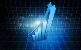 乐视网受质疑的成长