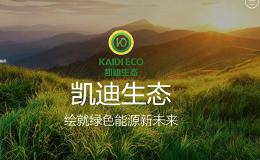 四家上市公司密集违约 陆企债务危机临近