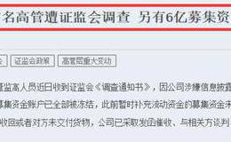 29个跌停，市值跌了95%，这家公司依然有17名高耍赖6亿不还钱