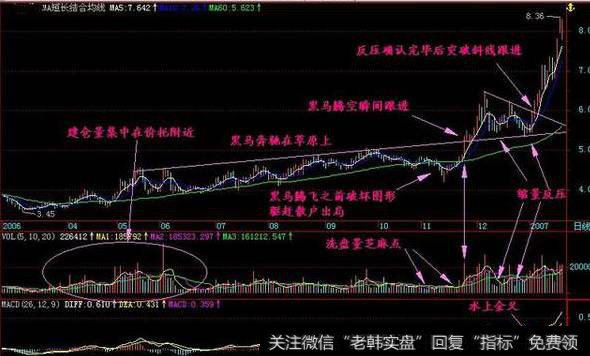 <a href='/caijunyi/290233.html'>股市</a>里常说的“黑马草上飞”技术形态是怎样的？该如何操盘？