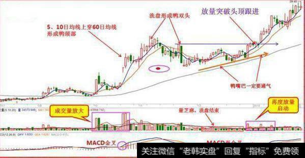 鸭头一定是放量的，在鸭嘴部分成交量一定是萎缩的成交量缩放