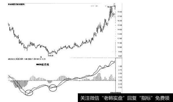 株冶集团日K线图