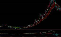 适当布局高成长低价股