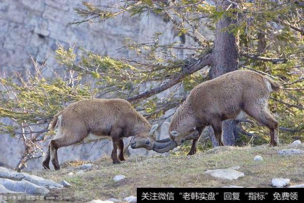 巴菲特的“土堆”